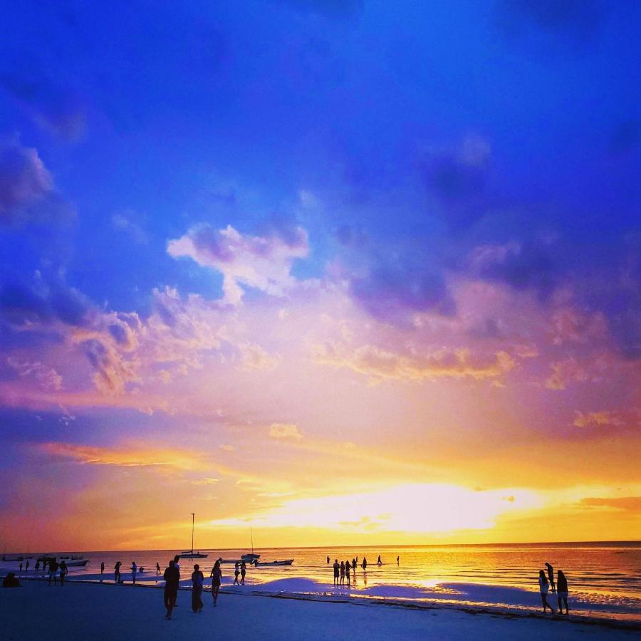 Ecoco Holbox - Eco-Chic - Cabanas De Madera - Holbox Retreat (Adults Only)ゲストハウス エクステリア 写真