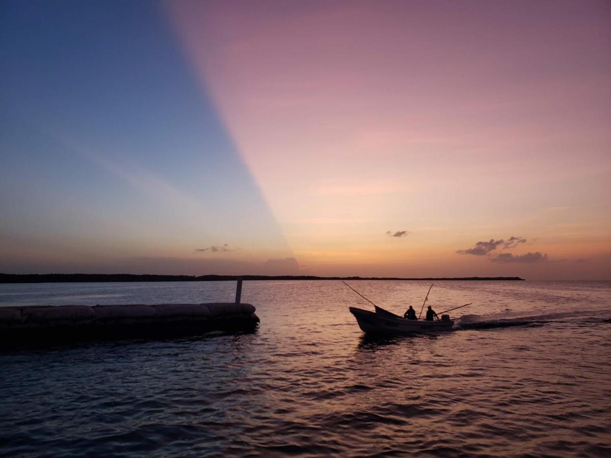 Ecoco Holbox - Eco-Chic - Cabanas De Madera - Holbox Retreat (Adults Only)ゲストハウス エクステリア 写真